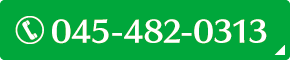 045-482-0313